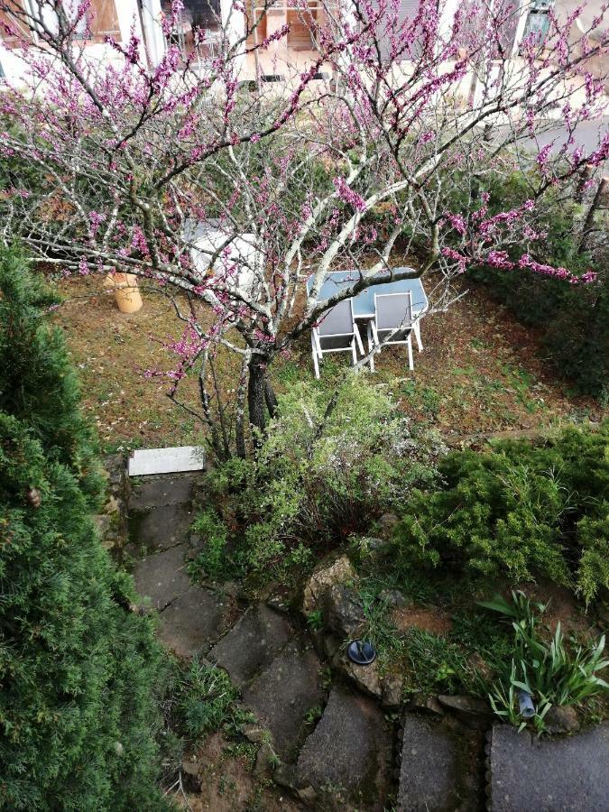 Appartement Calme De 48M2 Amélie-les-Bains-Palalda Εξωτερικό φωτογραφία